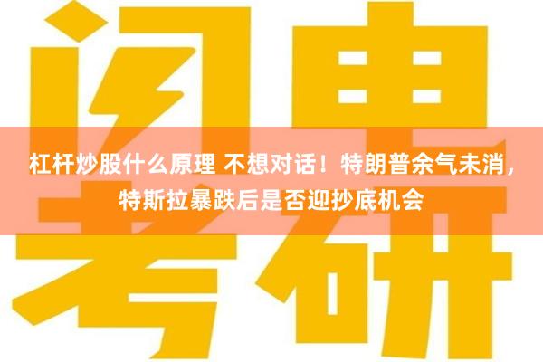 杠杆炒股什么原理 不想对话！特朗普余气未消，特斯拉暴跌后是否迎抄底机会
