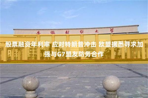 股票融资年利率 应对特朗普冲击 欧盟据悉寻求加强与G7盟友防务合作