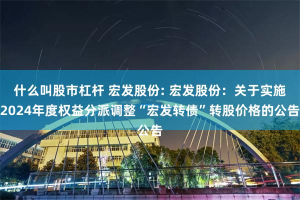 什么叫股市杠杆 宏发股份: 宏发股份:关于实施2024年度权益分派调整“宏发转债”转股价格的公告