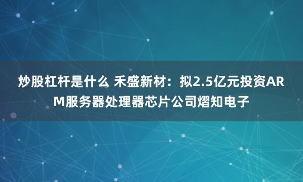 炒股杠杆是什么 禾盛新材：拟2.5亿元投资ARM服务器处理器芯片公司熠知电子