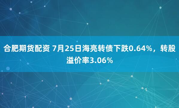 合肥期货配资 7月25日海亮转债下跌0.64%，转股溢价率3.06%