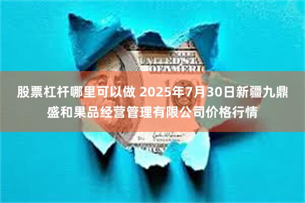 股票杠杆哪里可以做 2025年7月30日新疆九鼎盛和果品经营管理有限公司价格行情