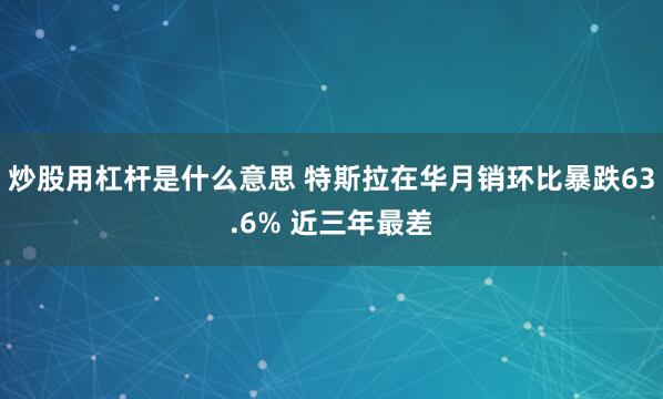 炒股用杠杆是什么意思 特斯拉在华月销环比暴跌63.6% 近三年最差