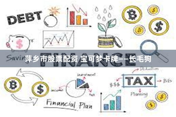 萍乡市股票配资 宝可梦卡牌——长毛狗