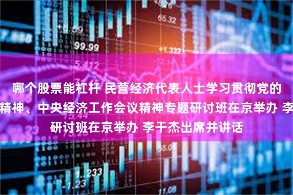 哪个股票能杠杆 民营经济代表人士学习贯彻党的二十届四中全会精神、中央经济工作会议精神专题研讨班在京举办 李干杰出席并讲话